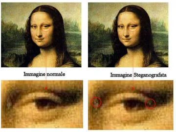 La steganografia trova ampio impiego nella protezione dei dati sensibili